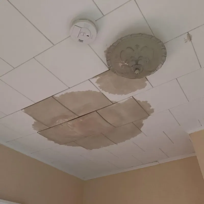 Ceiling Water Damage Repair in Randolph County, IN