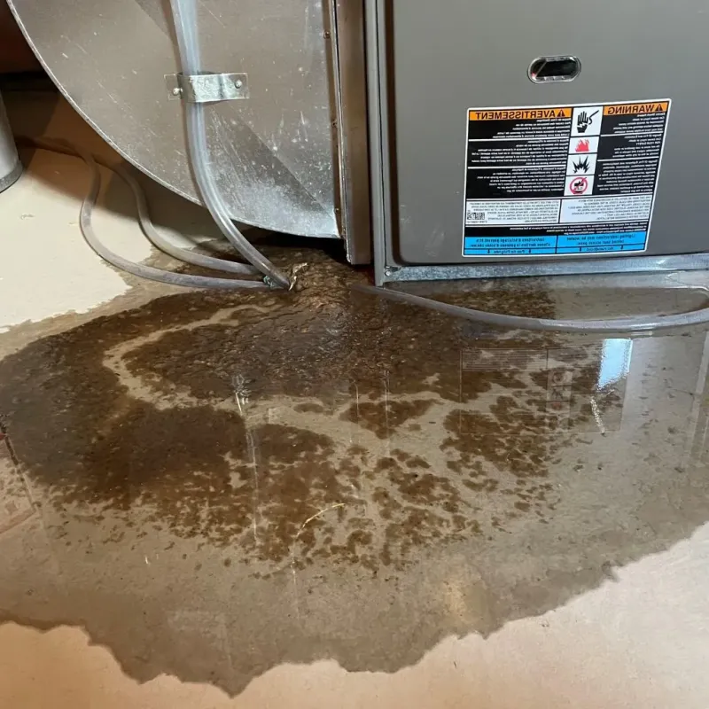 Pipe Burst and Leak Restoration in Randolph County, IN
