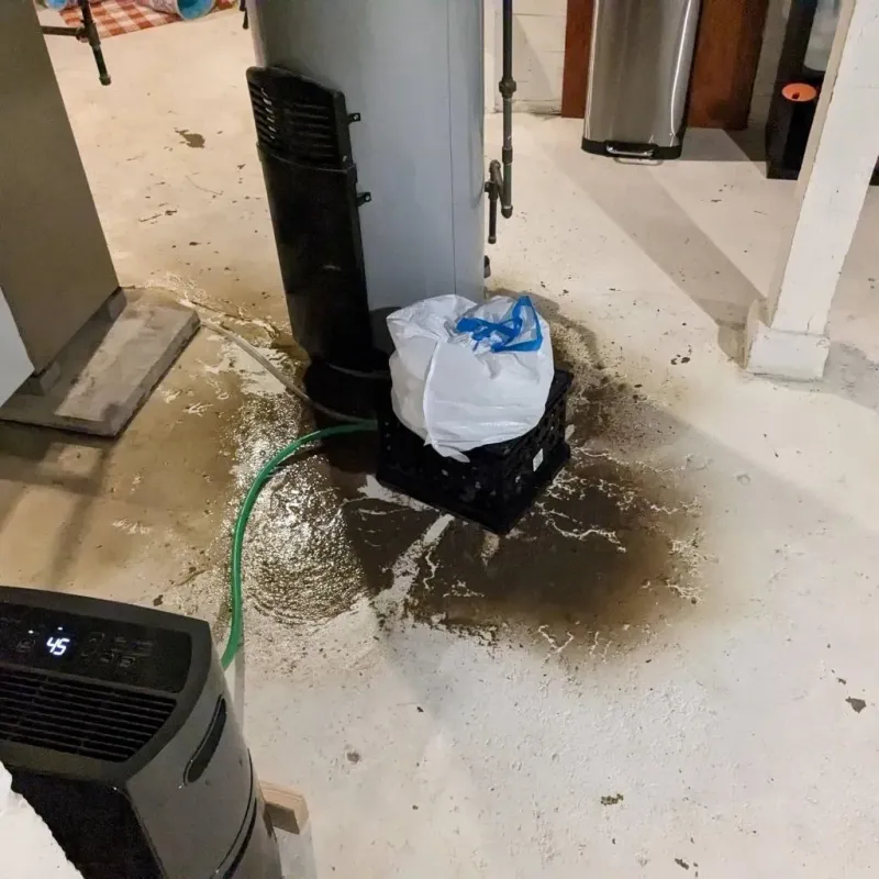 Sewage Backup Cleanup Service in Randolph County, IN